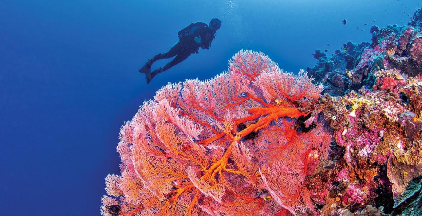 Pristine Paradise Dive Resort Una Una Pulau Unauna Esterno foto